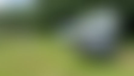 Österreich - 19.06.2025 - Wienerwald