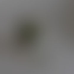 しらずしらずのうちに