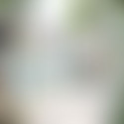 僕、自転車買いましたっ!