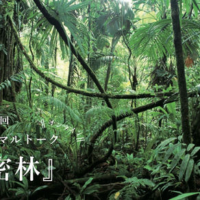 BOXERのアニマルトーク、オンラインで再び!