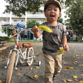 季節の変わり目に