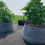 Thumbnail: 5-PACK 50 Gallon