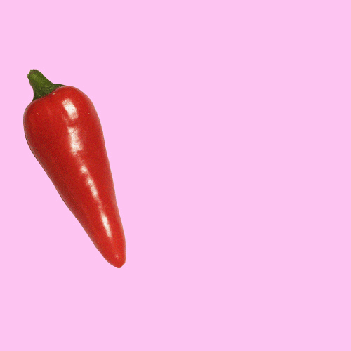 CHOPCOVER2.gif