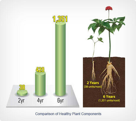 6 year old ginseng