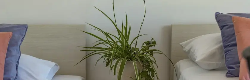 Twin bedroom with plants at Terra Magica room in Grobnik near Rijeka