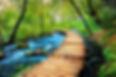 Plitvice Lakes 22