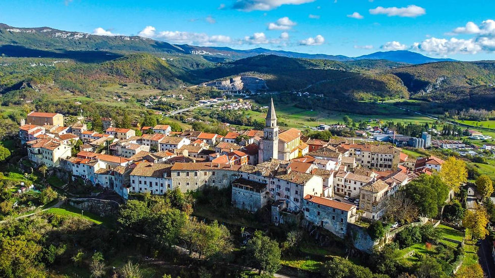 Old town of Buzet from the air