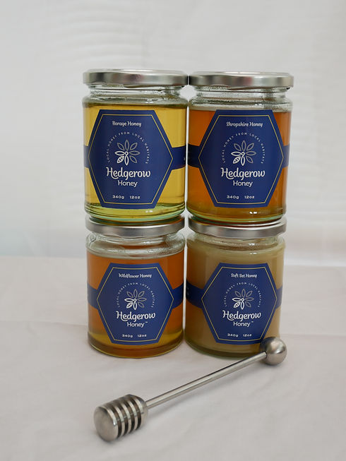 Double stack jars 1.JPG