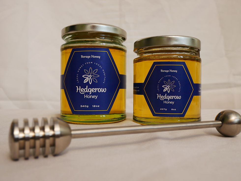 borage jars 1.JPG