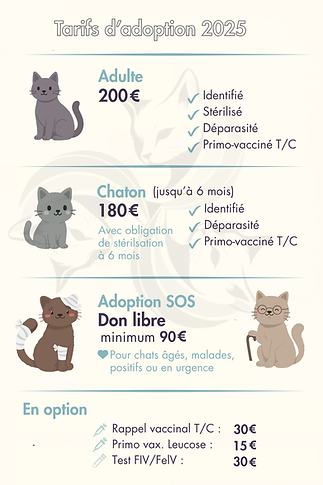 Ajouter un sous-titre (4).png