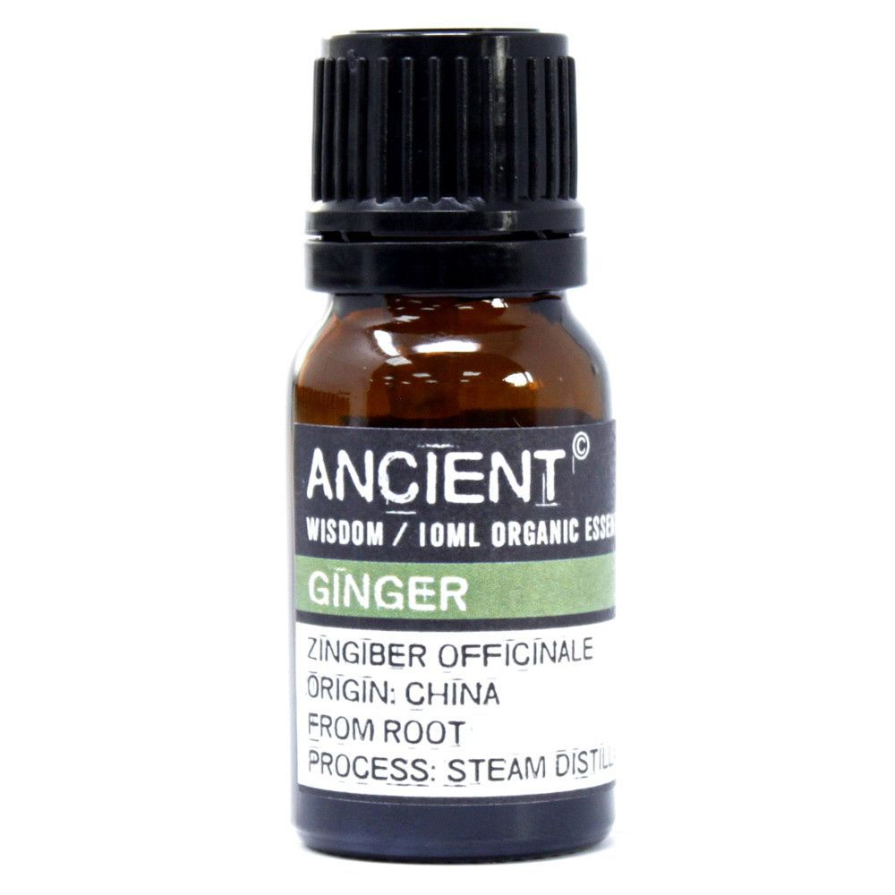 Bio Ingwer Ätherisches Öl 10ml