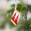 Miniature : Set de 2 tambours