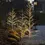 Miniature : Arbre lumineux blanc, 1.6m