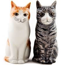 Miniature : Sel & Poivre chats