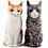 Miniature : Sel & Poivre chats