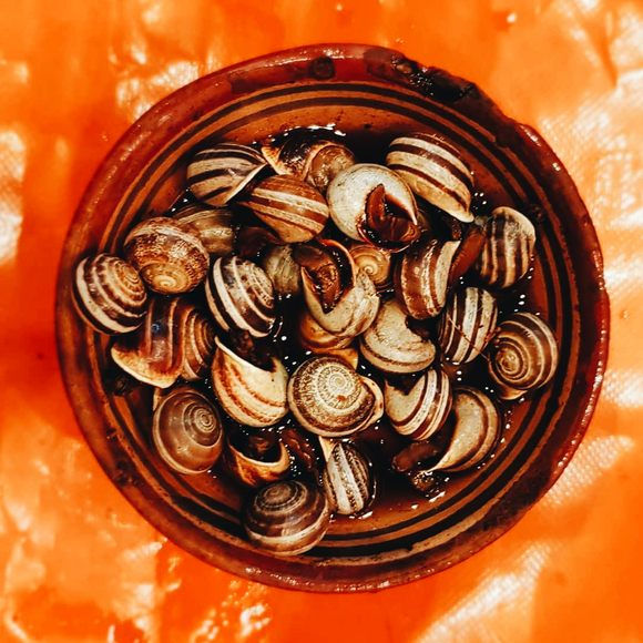 culturally rich Moroccan snails