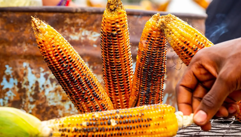Roasted corn, popularly known as mahindi choma in Kenya