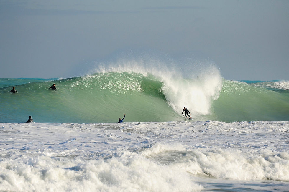 More Than a Wave: South Beach, Miami’s Marine Park and the Surf Ecosystem Beneath It