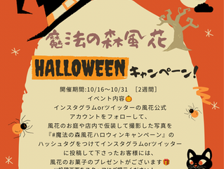 魔法の森風花ハロウィンキャンペーン開催♪