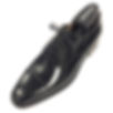 JS3-41(CH9309)