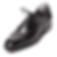 JS3-2(CH7302)