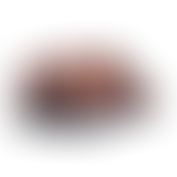 CH7104F_CB13back