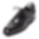 JS3-3(CH7501)