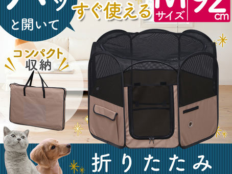 猫と一緒にホアヒンへ(その2:ロジスティックス)