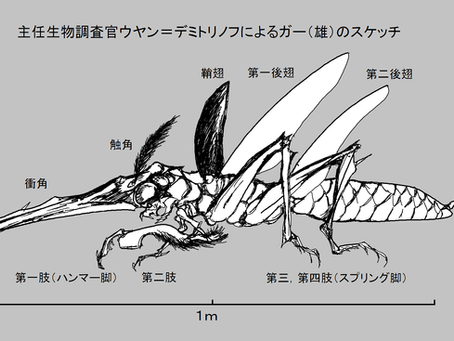 「ラッキーと僕(ドローン)」
