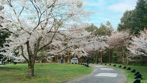 桜舞馬公園
