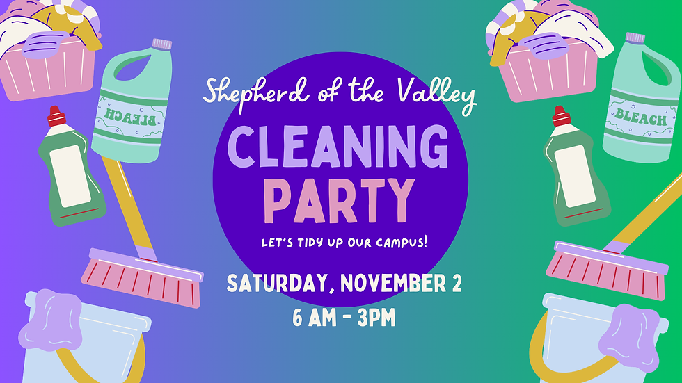 Cleaning Party