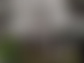 令和７年も桜が満開になりました！