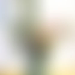 今年も一年お世話になりました