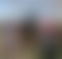 保育園の子ども達は元気😄