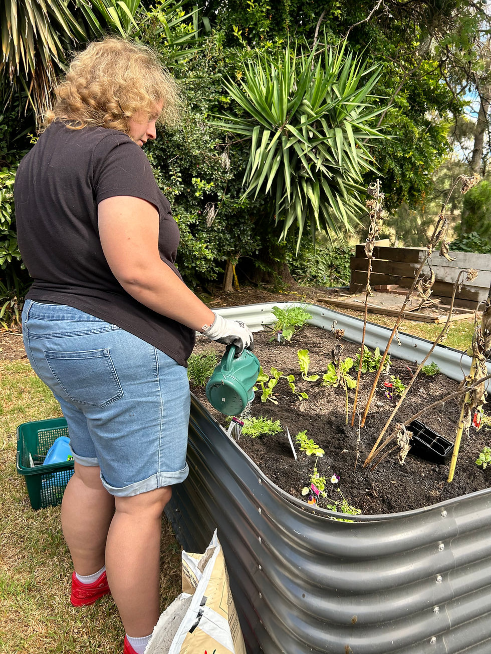 SIl Garden Work 5