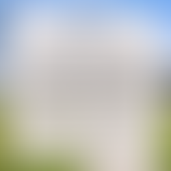 "I Can't Recommend Brandon Scribner Enough": A 5-Star Review