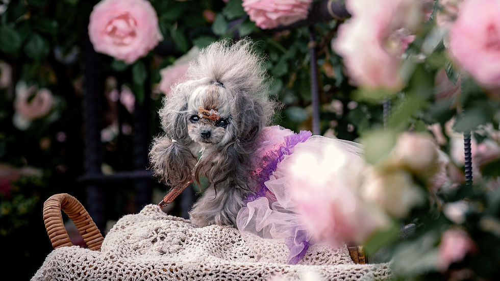 ムービーはじめました🎵