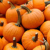 VPUMSMS-A-Small-Sugar-Pumpkin-Seeds.jpg