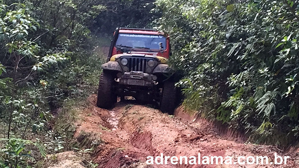 AdrenaLAMA Off-Road