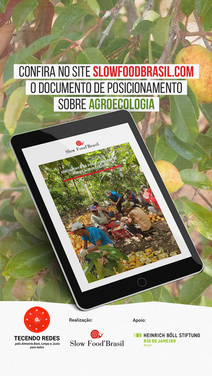 Stories-Documento-Agroecologia.png