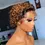 Thumbnail: 1B/350  13x1 Short curly human hair Lace Front Jersey wig