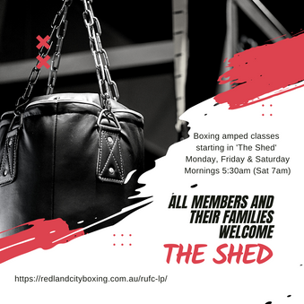 Boxing & Fitness Launching November 1st