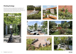Planting Strategy.jpg