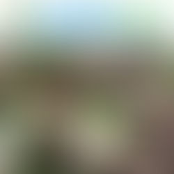 Opportunities in your area: Oakvillegreen