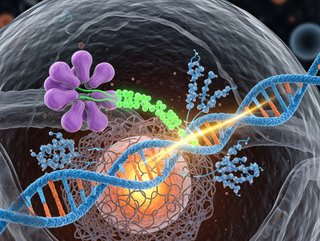 Our Industry is Evolving - Decentralised Manufacturing