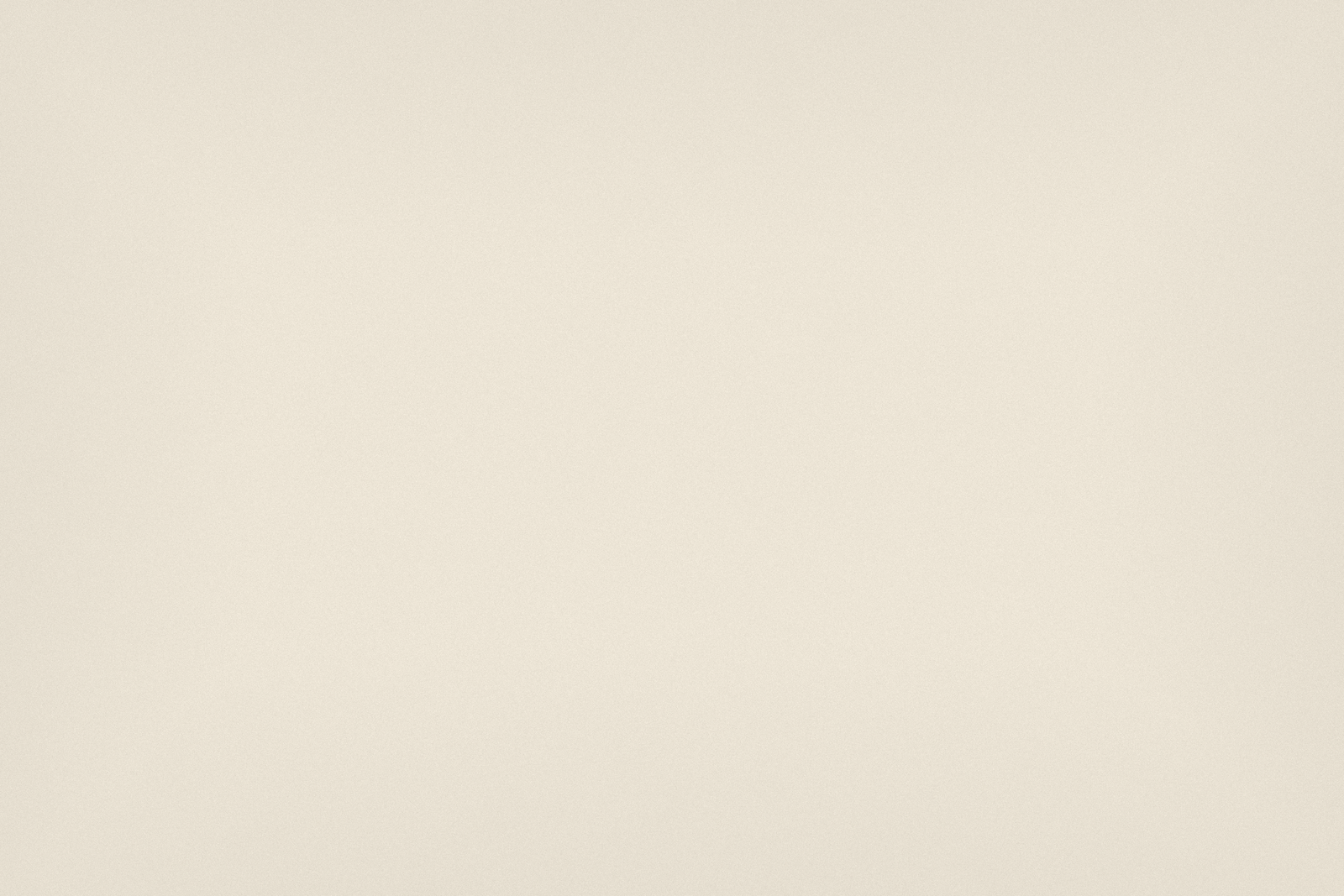north_forest_clean_parchment_texture_web.png