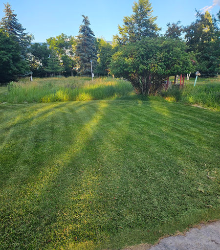 20240705_203555 - Copy.jpg