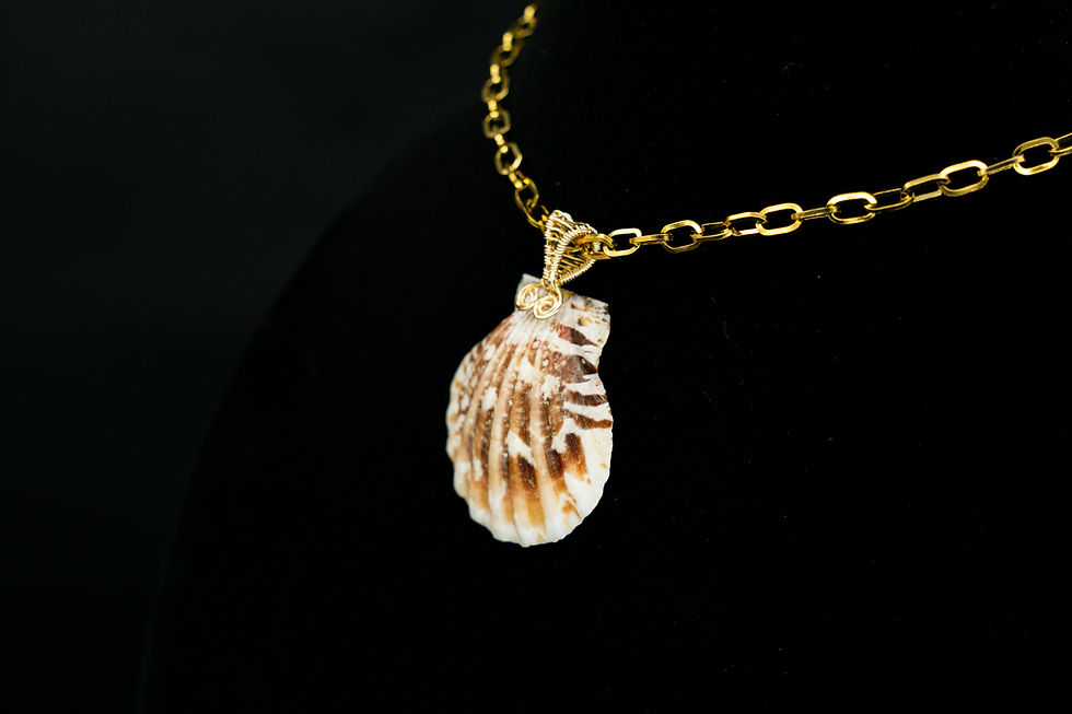 Thumbnail: Brown Scallop Shell with Pearl and 18k Gold-Plated Chain Necklace