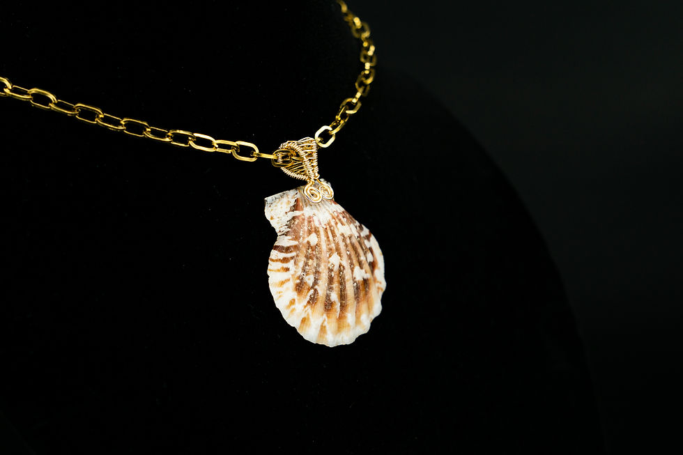 Thumbnail: Brown Scallop Shell with Pearl and 18k Gold-Plated Chain Necklace