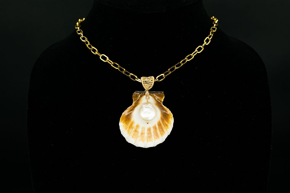 Brown Scallop Shell with Pearl and 18k Gold-Plated Chain Necklace
